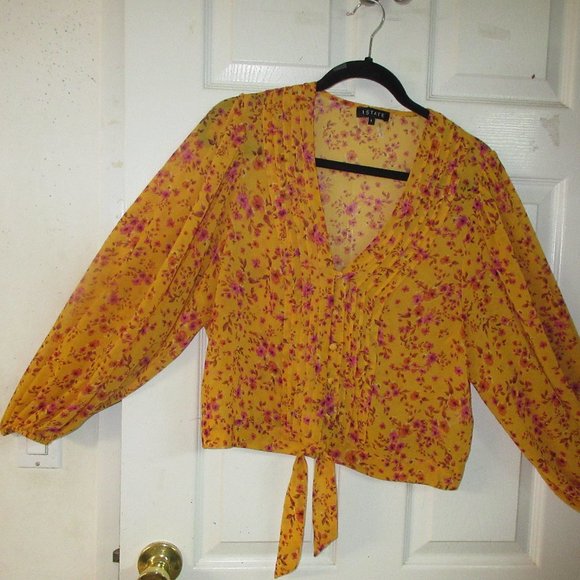 1.STATE size L Orange and Hot pink floral sheer top with banded bottom - Picture 2 of 15